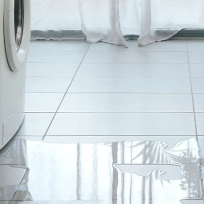 Appliance Leak Cleanup in Benton, LA