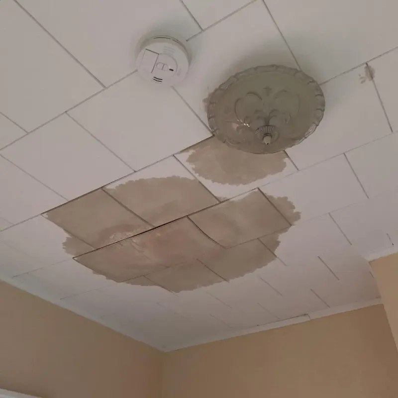 Ceiling Water Damage Repair in Benton, LA