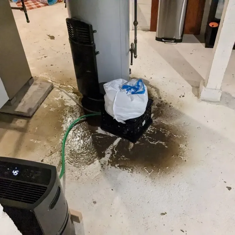 Sewage Backup Cleanup Service in Benton, LA